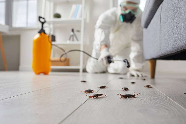 Post-Treatment Bed Bug Interceptor Monitoring in Sherwood Manor